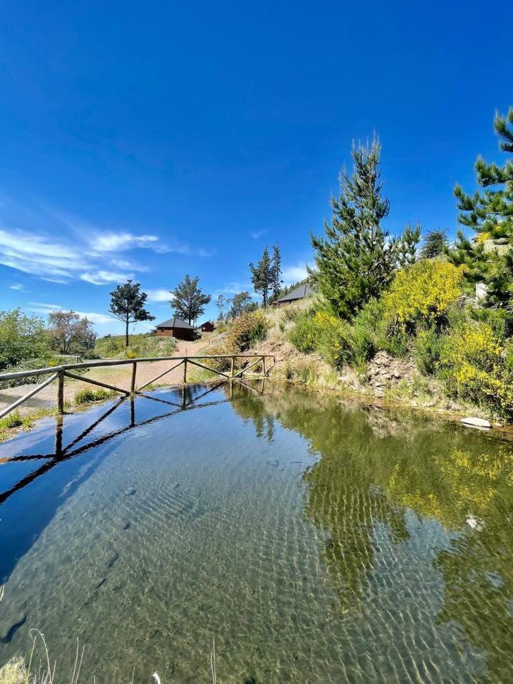 Hotel Mountain Eco Shelter 7 Funchal  Exteriér fotografie