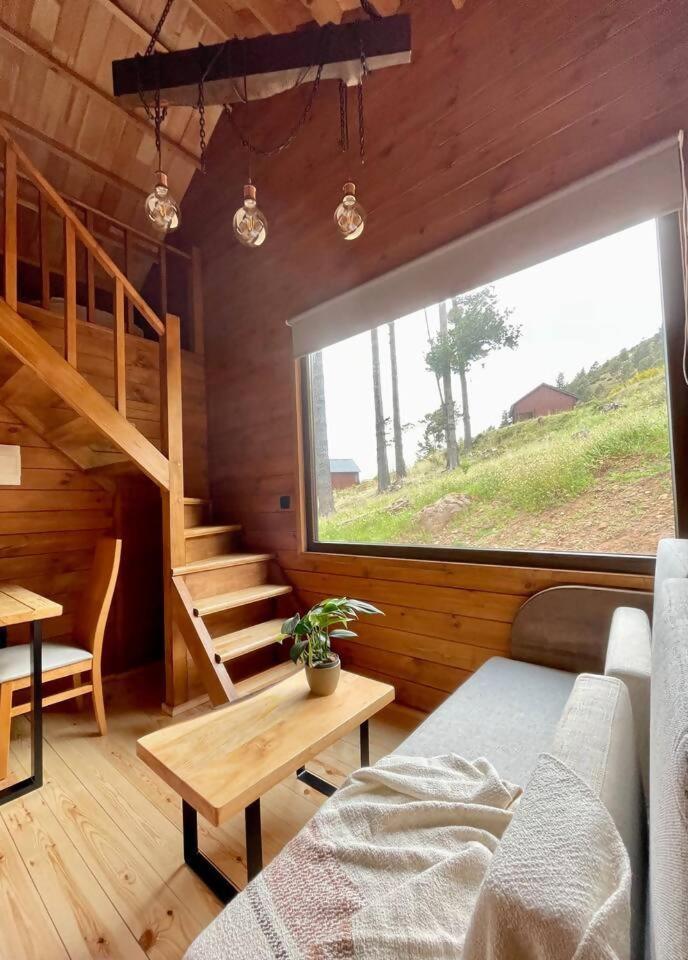 Hotel Mountain Eco Shelter 7 Funchal  Exteriér fotografie